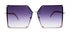 LADYBOSS SUNGLASSES - ELEVATIONS (Violet) - Modz Designs